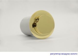 Гидромассажная ванна Whitecross Savia Duo 0103.170080.100.LINE.GL 170x80см Line золото